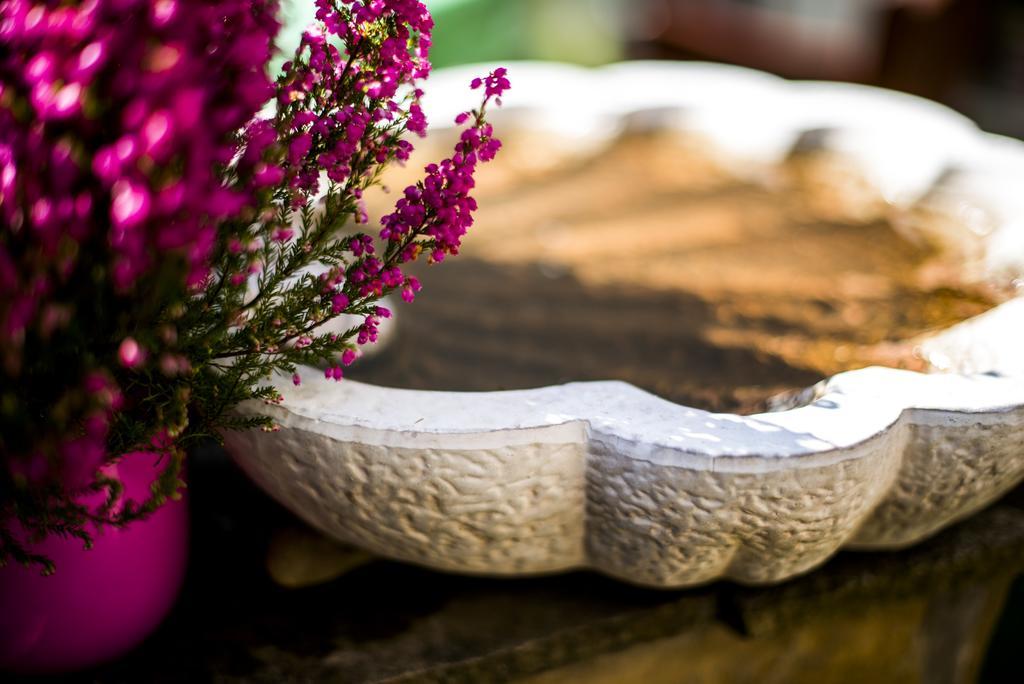 Feng Shui Wellness Apartmanhaz Hévíz Eksteriør bilde