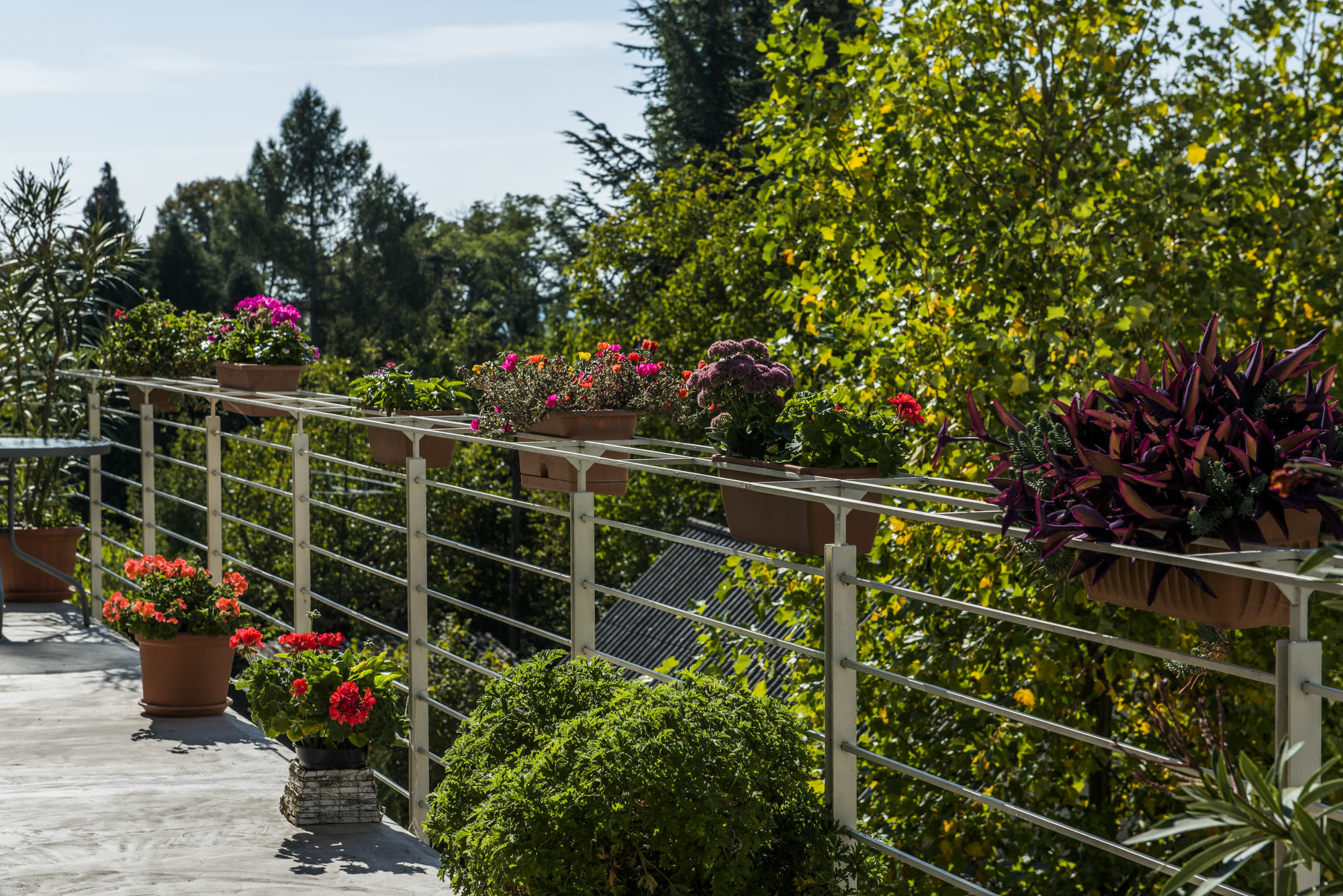 Feng Shui Wellness Apartmanhaz Hévíz Eksteriør bilde
